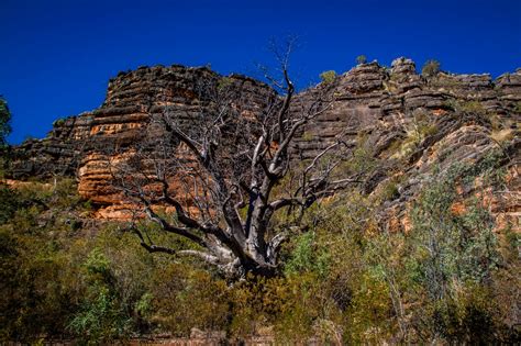 Windjana Gorge | AusTravelPhotography