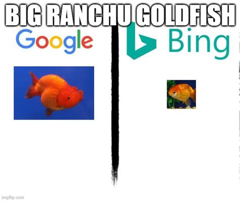 ranchu Memes & GIFs - Imgflip