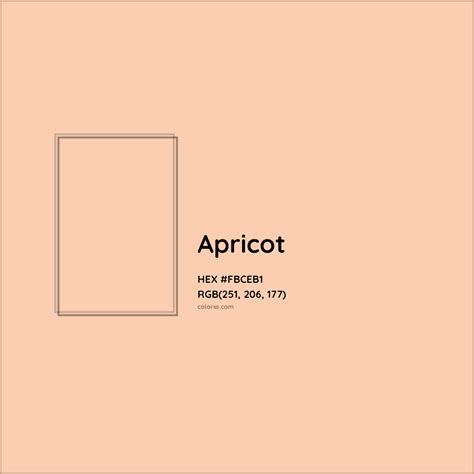 About Apricot - Color codes, similar colors and paints - colorxs.com