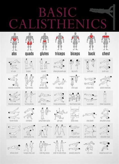 Calisthenics are a form of exercise to increase body strength, body ...