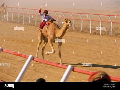 Camel Racing Child Jockeys