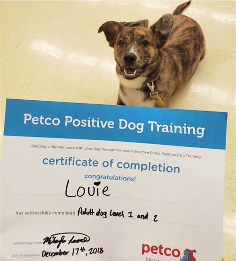 Are The Dog Trainers In Petco Trained