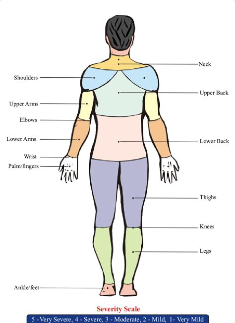 [DIAGRAM] Human Body Parts Diagram - MYDIAGRAM.ONLINE