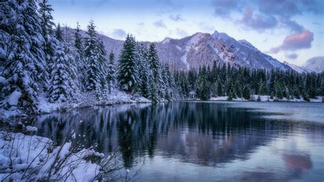 Forest Lake And Snow Covered Mountain During Winter 4K 5K HD Nature ...