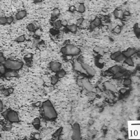 Microstructure of Al + 5%NbAl 3 . | Download Scientific Diagram