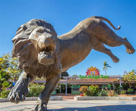 Plan Your Visit | San Diego Zoo