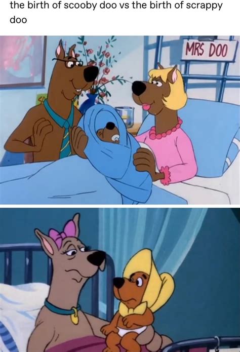 The birth of scooby doo vs the birth of scrappy - iFunny