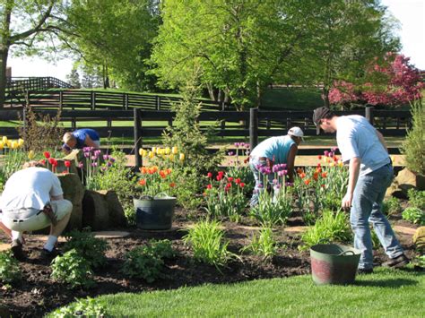 DO's and Don't fo Spring Yard Clean Up - Heidi's Growhaus and LG