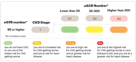 Stage Chronic Kidney Disease (CKD) National Kidney, 51% OFF