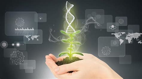 'Power of genetics': Seed industry sees plant breeding innovation as ...