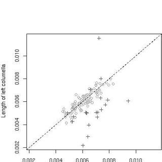 The differences in the length of the columella on the cleft and ...