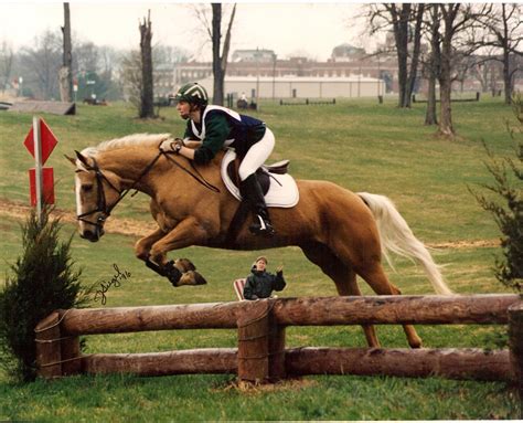 Pin by Morgan Cameron on Horses | Eventing horses, Palomino horse, Show ...