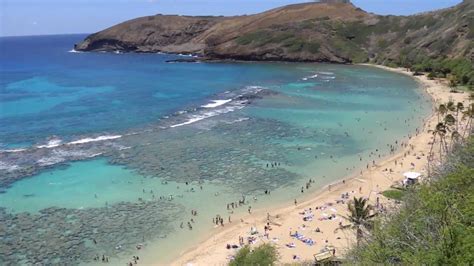 Hanauma Bay Coral Reef, Oahu, Waikiki Hawaii - YouTube