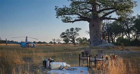 Premier Botswana Safari Packages - Game Lodges, Bush Camps