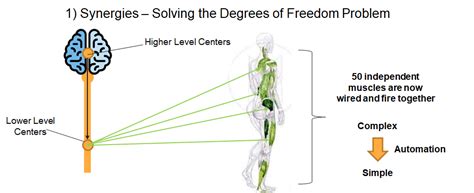 What Is Important In The Functioning Of A Dynamic System: Key Insights