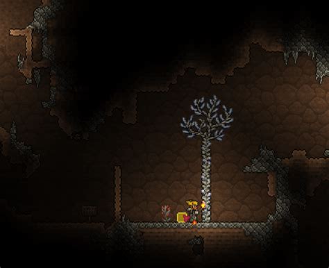 Why did only one of my Gemcorn trees grow? : r/Terraria