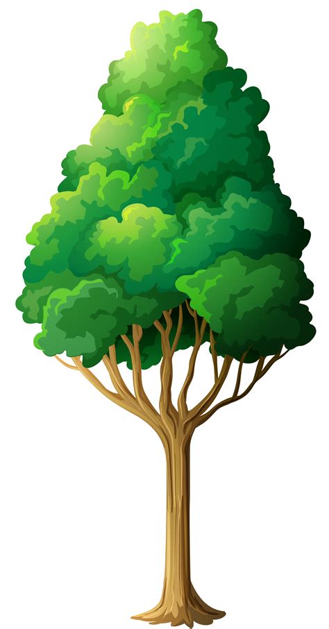 tree plan png hd