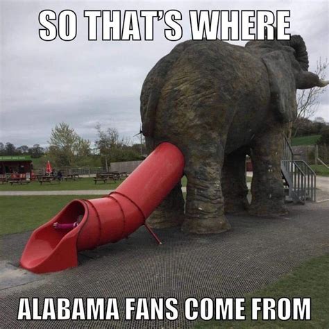 Pin on Funnies | Alabama football funny, Funny hunting pics, Alabama memes