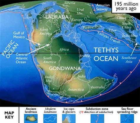 60 Best images about PANGEA on Pinterest | San andreas, North american ...