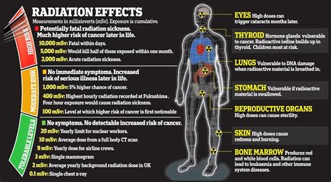 Radiation Poisoning Effects On Human