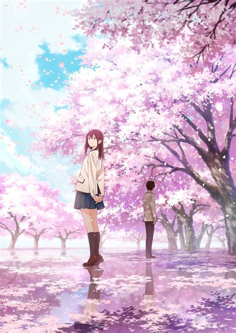 Crunchyroll - Life is Fleeting Like the Cherry Blossoms in "I Want to ...