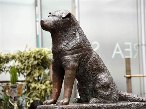 The Hachiko Statue, Shibuya - and Where Else to Find Japan's Most Loyal ...