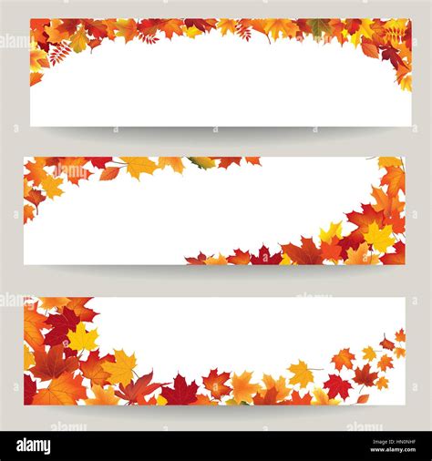 Fall leaves banner set. Swirl autumn leaf background. Nature border ...