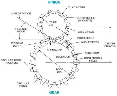 [DIAGRAM] Squash Spacing Diagram - MYDIAGRAM.ONLINE