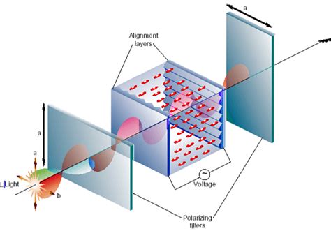 LCD meaning and definition: how LCD works? - VISLCD