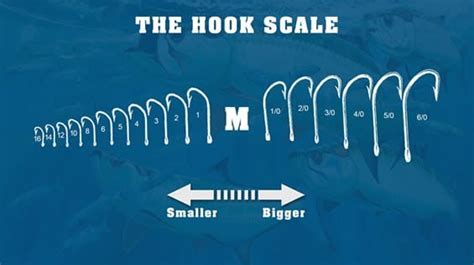 What Size Hooks for Trout? (With 5 Examples) – Commutter