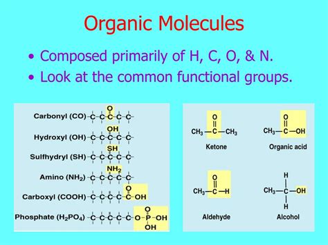 Organic Basics