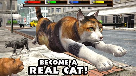 Ultimate Cat Simulator: Amazon.co.uk: Appstore for Android