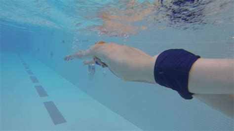 3 Swimming Drills to Improve Freestyle Stroke - Howcast