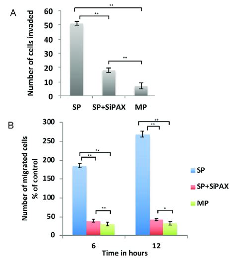 RNAi of Paxillin showed significant impact on cell invasion and ...