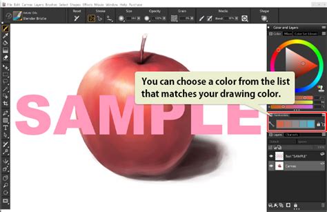 Best Drawing Apps and Software in 2024 (Free & Paid) | | Art Rocket