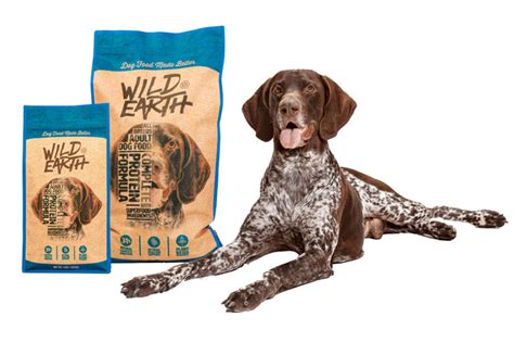 Wild Earth debuts new vegan dog food collection | Pet Food Processing