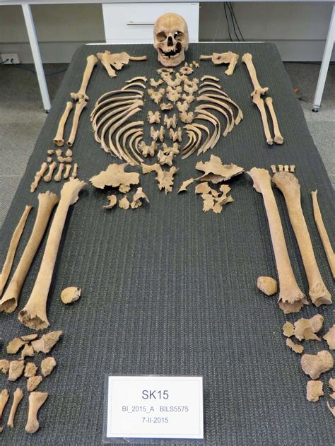 Fragments point to more skeletons being discovered on island after ...