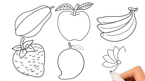 How to draw fruits for beginners, fresh fruits and vegetables drawing ...