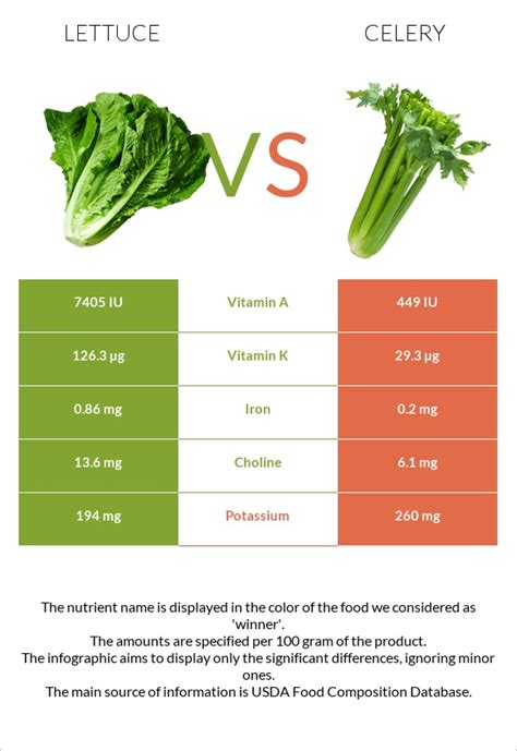 Lettuce vs. Celery — In-Depth Nutrition Comparison