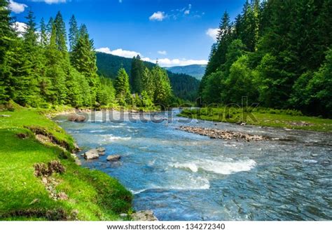 Landscape Mountains Forest River Front Beautiful Stock Photo 134272340 ...