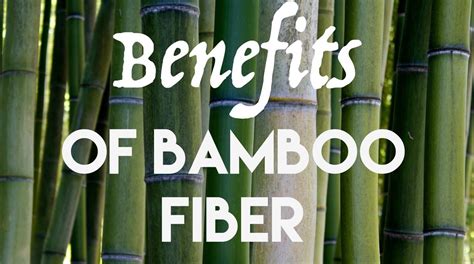 5 Top Benefits of Bamboo Fiber