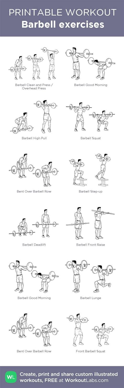 Barbell exercises:my visual workout created at http://WorkoutLabs.com ...