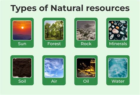 Why Are Natural Resources Vital For Development: A Closer Look