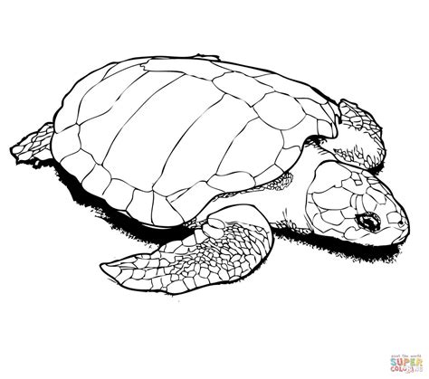 Nesting Kemp's Ridley Sea Turtle coloring page | Free Printable ...