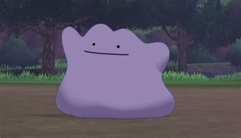 Where to find Ditto in Pokémon Sword and Shield | Dot Esports