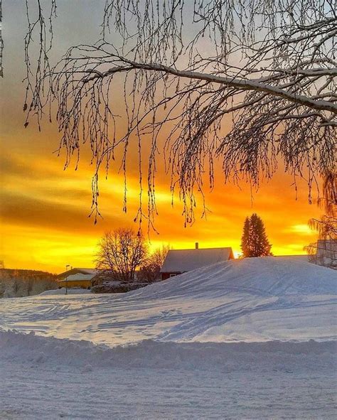 Pin by Renée on Hiver | Winter sunset, Winter scenery, Winter scenes