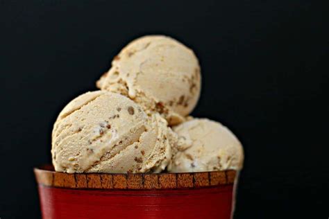 Pumpkin Ice Cream with Gingersnaps - Foodness Gracious