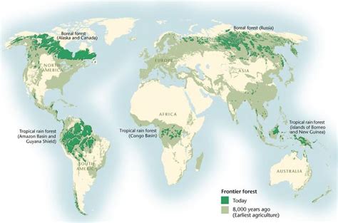 Northern Coniferous Biome/Taiga/Boreal - Terrestrial Biomes and Food Webs