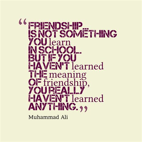 20 Most Beautiful Friendship Quotes