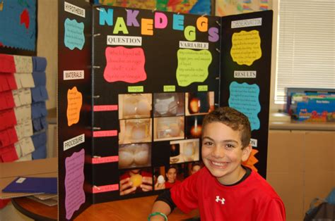 10 Ideal Awesome Science Fair Project Ideas 2024